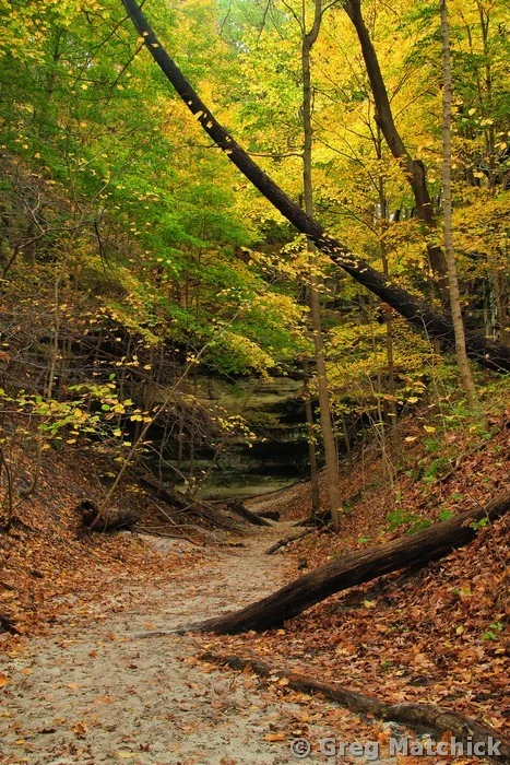Fall in Lonetree Canyon 2 at Starved Rock State Park