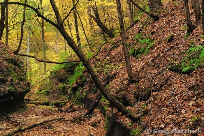 French Canyon in Autumn 1 at Starved Rock State Park