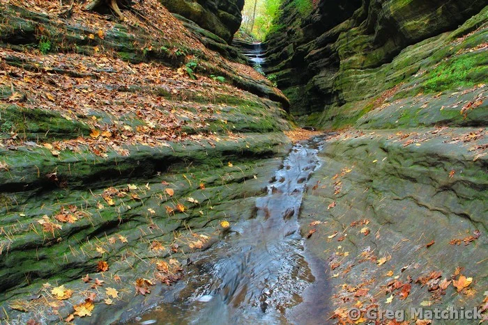 French Canyon in Autumn 2 at Starved Rock State Park