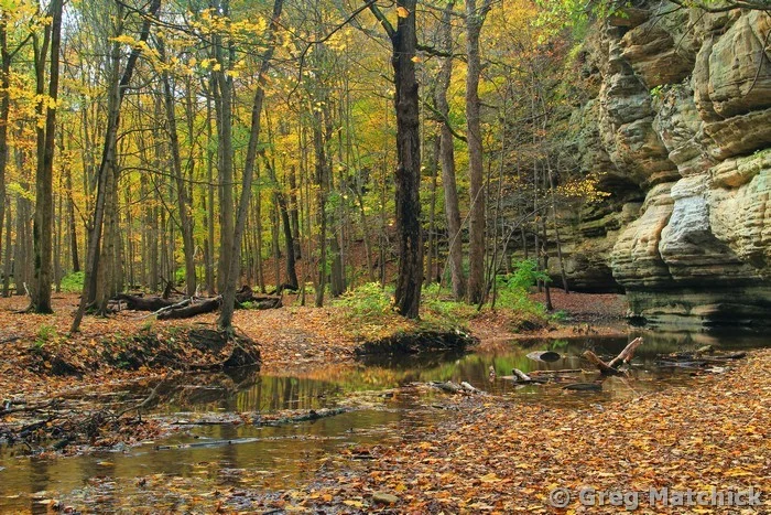 Autumn in Illinois Canyon 4 at Starved Rock State Park