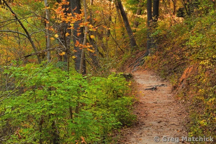 Trail to St Louis Canyon at Starved Rock State Park