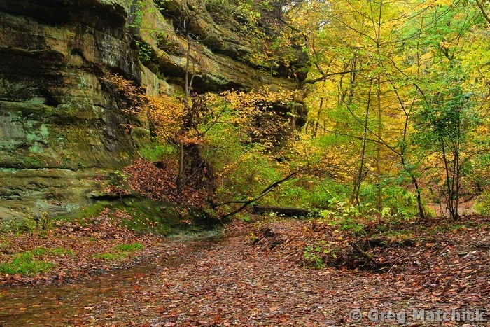 Tonty Canyon Fall 1 at Starved Rock State Park