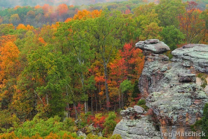Autumn View of Camel Rock 1 at Garden of the Gods