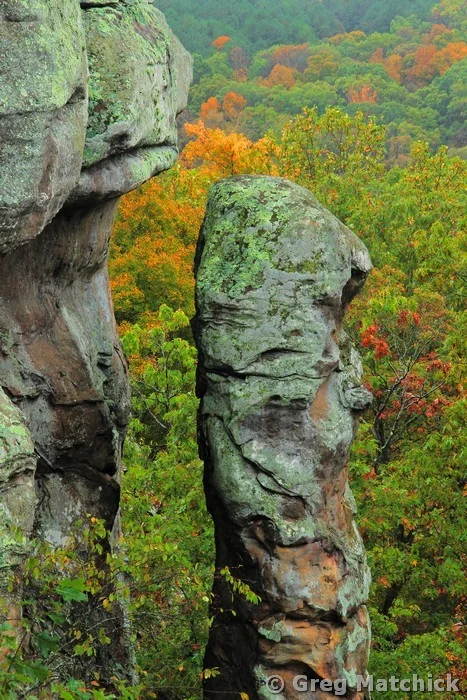 Pillar and Autumn Colors at Garden of the Gods