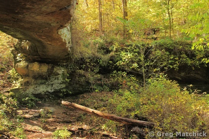 Pomona Natural Bridge 1 in Shawnee National Forest of Illinois