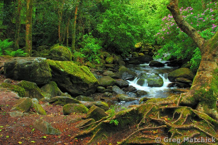 Below Torc Waterfall 1