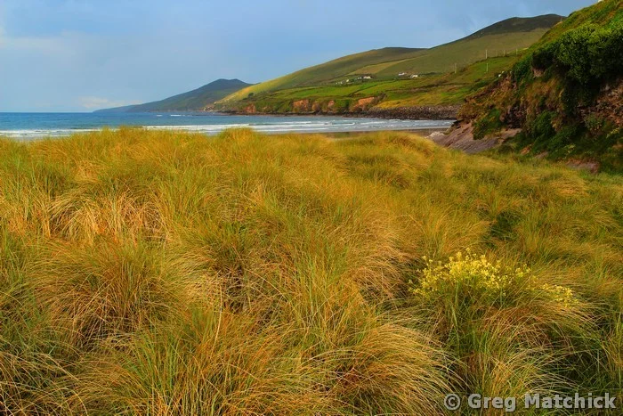 Inch Beach