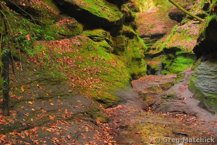 Canyon Trail in Rocky Hollow at Turkey Run State Park 1