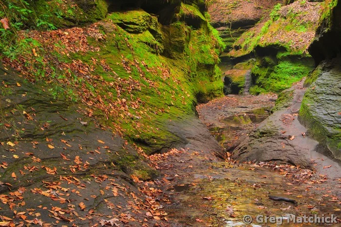 Canyon Trail in Rocky Hollow at Turkey Run State Park 2