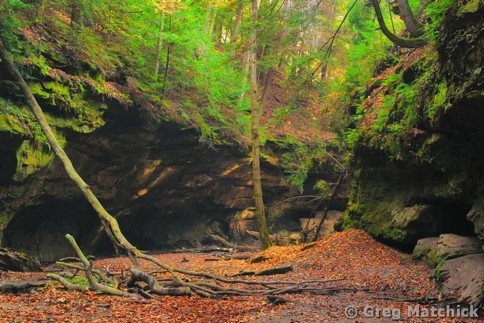 Rocky Hollow at Turkey Run State Park 6