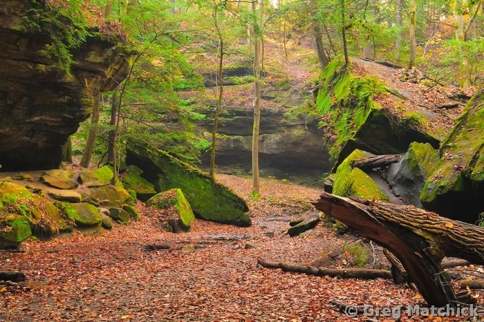 Rocky Hollow at Turkey Run State Park 5
