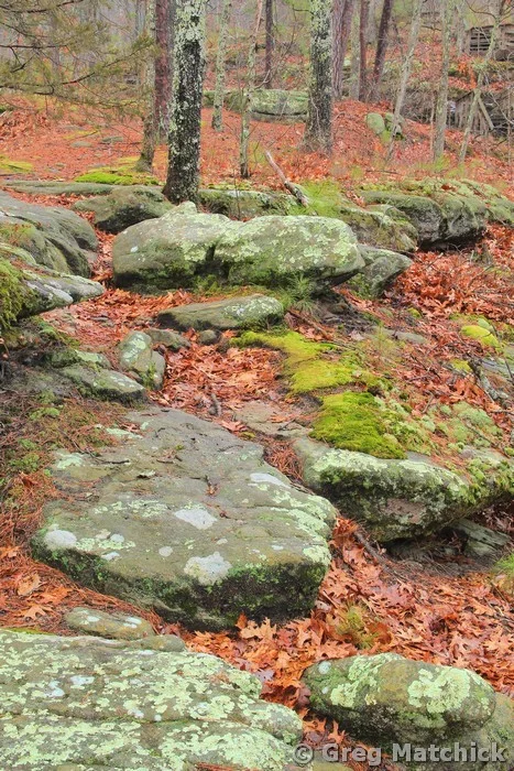 Hickory Canyons Trail in Winter 3