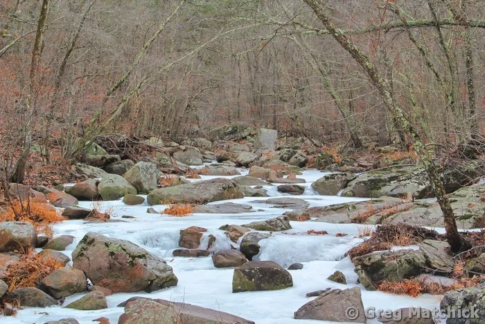 Frozen Pickle Creek 1 at Hawn State Park
