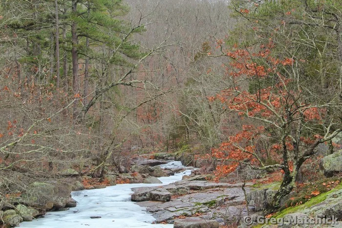 Frozen Pickle Creek 2 at Hawn State Park
