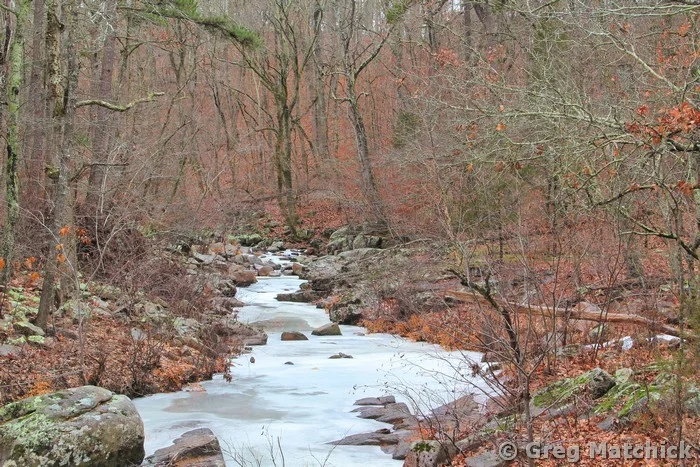 Frozen Pickle Creek 4 at Hawn State Park