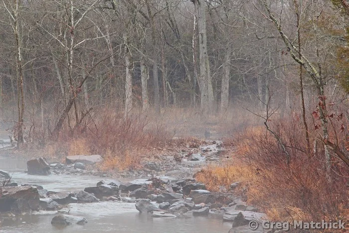 Foggy Morning on Marble Creek 2 Missouri Ozarks