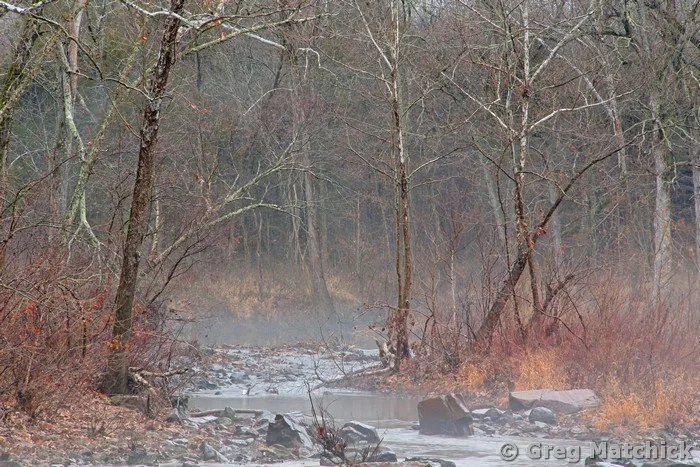Foggy Winter Morning on Marble Creek 3 Missouri Ozarks