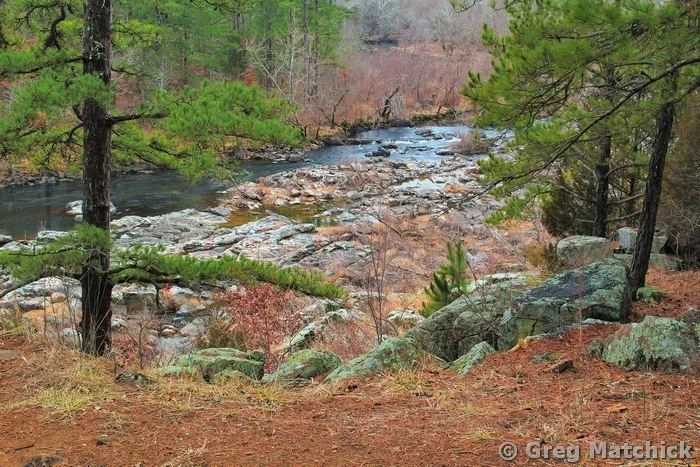 Pine Overlook On the St Francis River 1 Millstream Gardens