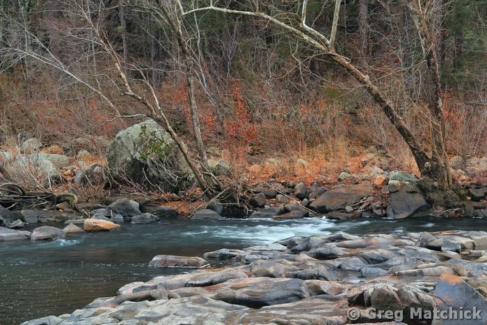 St Francis River at Millstream Gardens 1