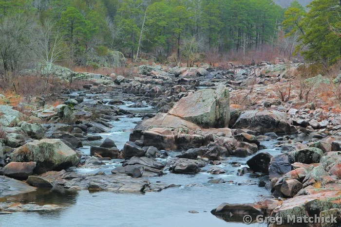 St Francis River Valley at Millstream Gardens 1