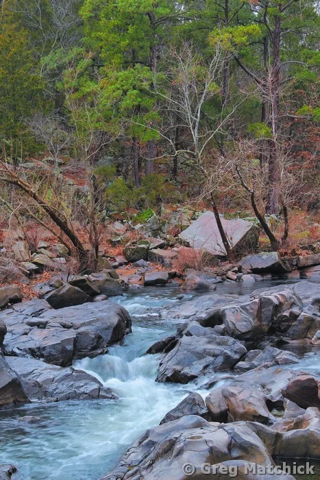 Tiemann Shut-Ins in Winter at Millstream Gardens 2