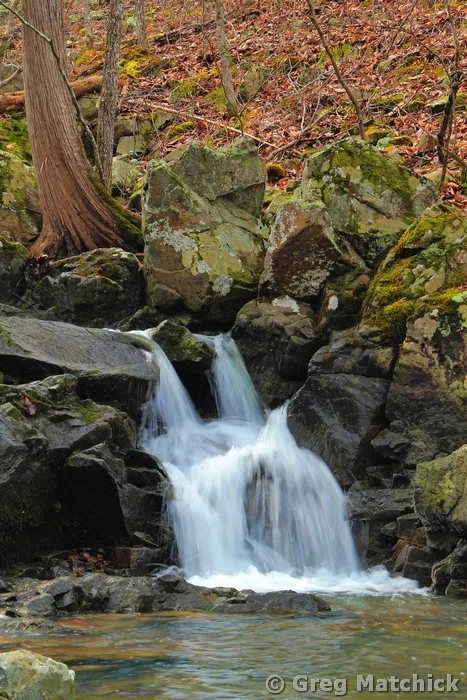 Cascade on Mudlick Creek in Sam A Baker State Park 3