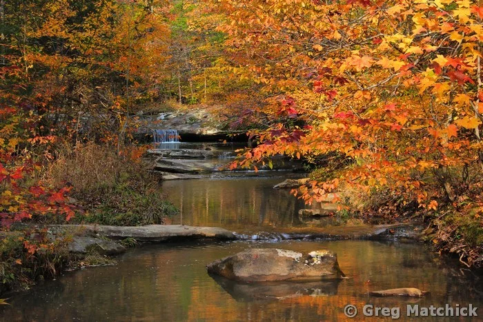 Autumn Creek in Shawnee National Forest