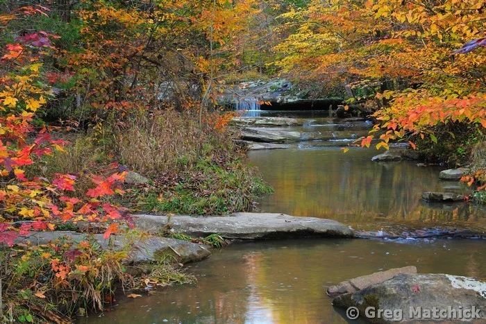 Woodland Creek in Autumn in Shawnee National Forest 1