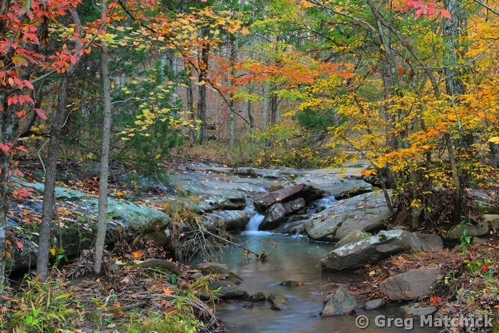 Woodland Creek in Autumn in Shawnee National Forest 3
