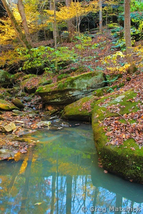 Canyon Creek in Autumn in Shawnee National Forest