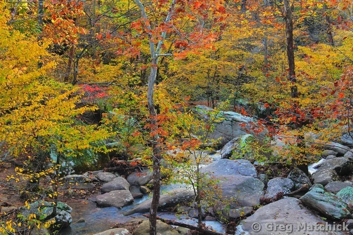 Autumn View Over Jackson Hollow in Shawnee National Forest 2