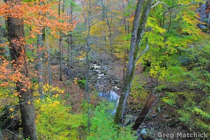 Autumn View Over Jackson Hollow in Shawnee National Forest 1