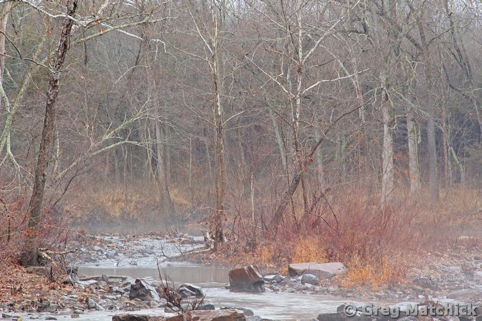 Foggy Morning on Marble Creek 1