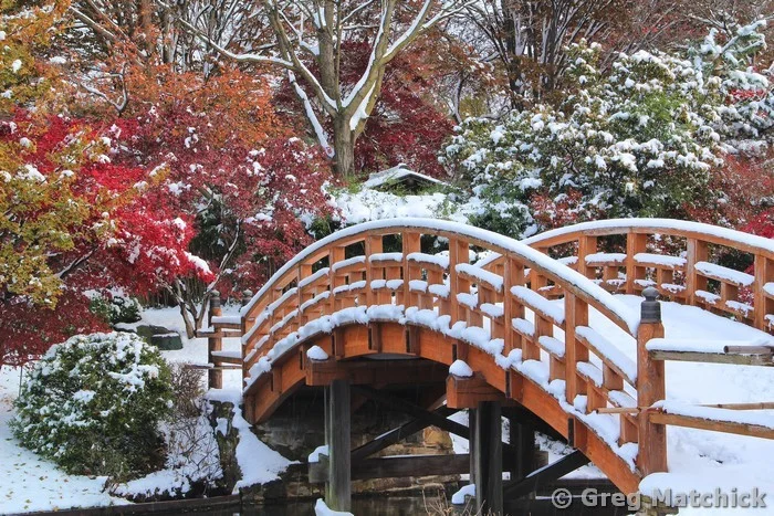 Drum Bridge in Autumn Snow 1