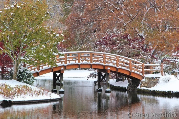 Drum Bridge In Autumn Snow 2