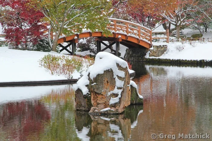 Drum Bridge and Rock In Autumn Snow 1