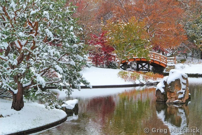 Drum Bridge and Rock In Autumn Snow 2