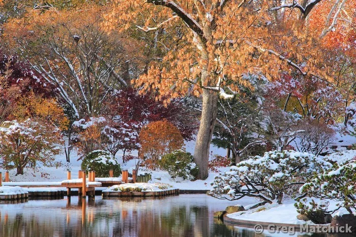 Autumn Snow Along the Lake In a Japanese Garden 1