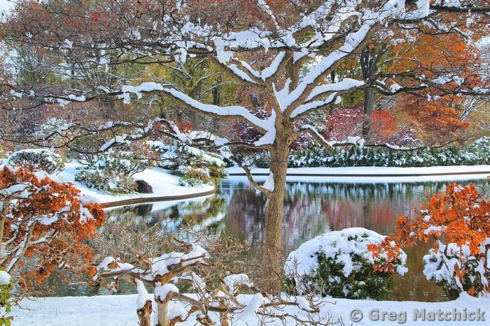 Autumn Snow Along the Lake In a Japanese Garden 2