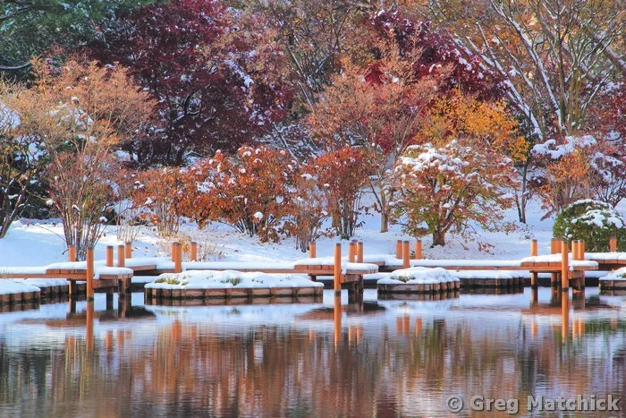 Boardwalk In the Snow In a Japanese Garden