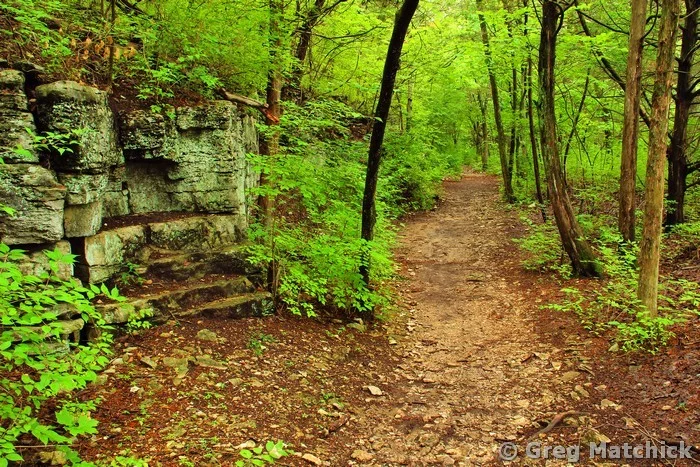 Limestone Bluff Trail 3