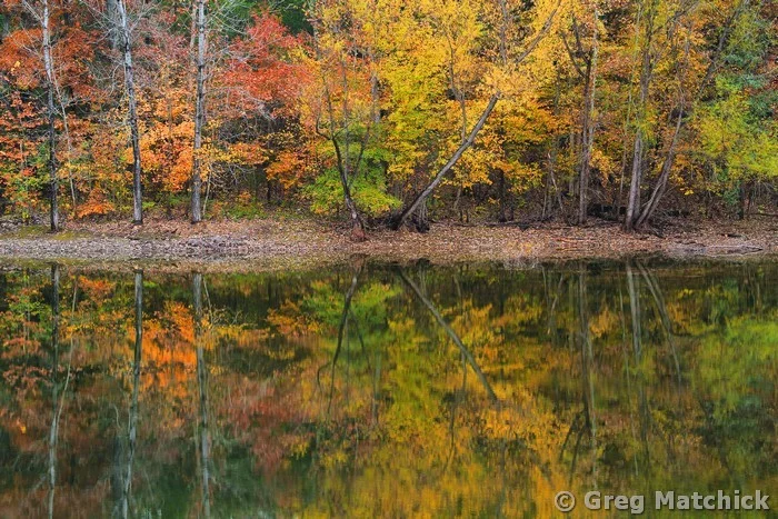 Autumn Reflections In the Rain On a Missouri Pond 2
