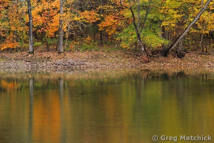 Autumn Reflections In the Rain On a Missouri Pond 3