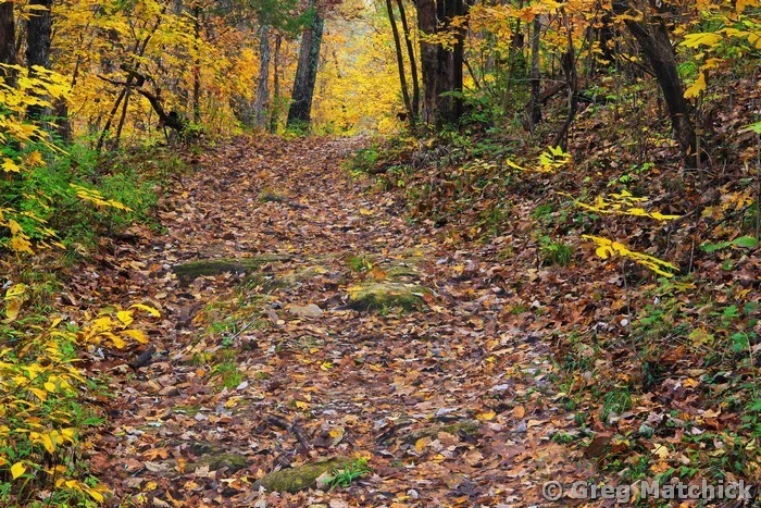 Woodland Hiking Trail in Autumn in Jefferson County 3