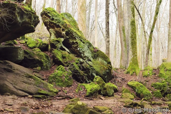 Big Rocky Hollow in Early Spring 1 at Ferne Clyffe State Park
