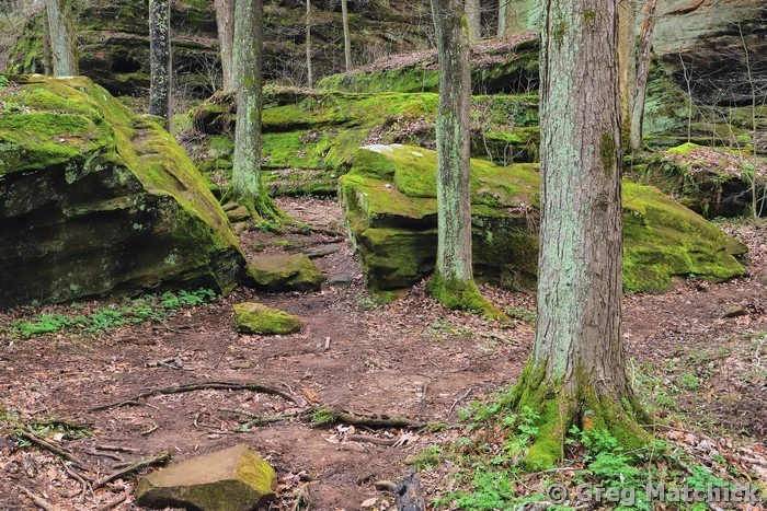 Big Rocky Hollow in Early Spring 4 at Ferne Clyffe State Park
