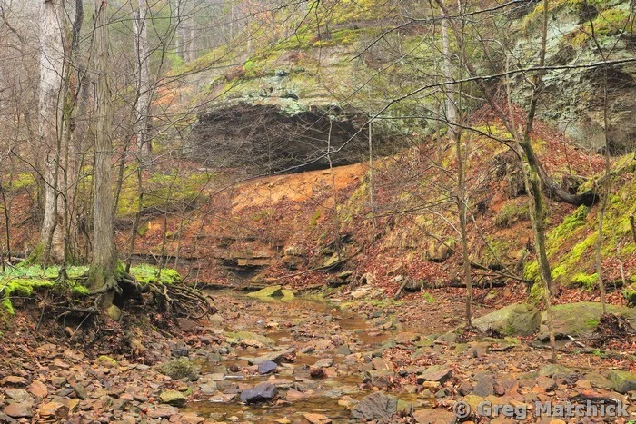 Buck Creek in Big Rocky Hollow in Winter Colors at Ferne Clyffe State Park