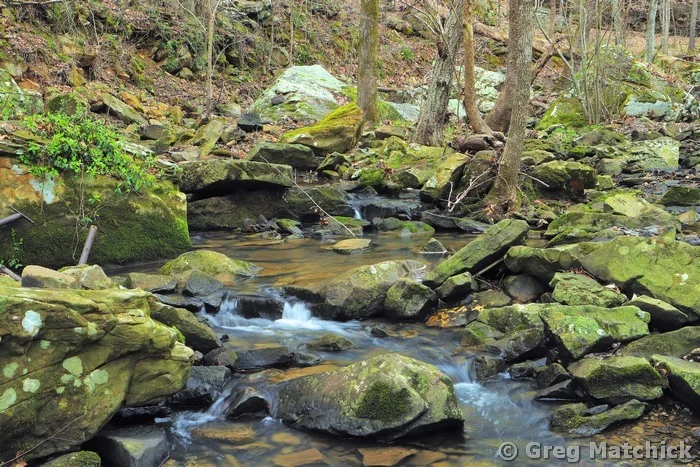 Hills Branch Creek 3 in Shawnee National Forest