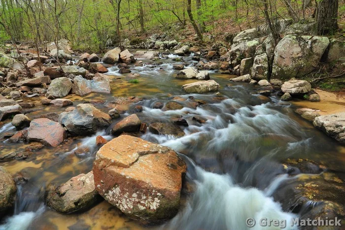 Springtime On Pickle Creek 1 at Hawn State Park