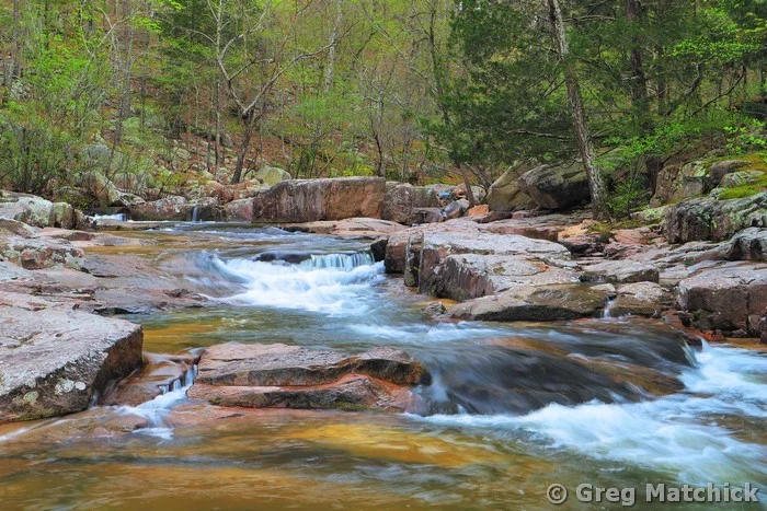 Below Pickle Creek Shut Ins 2 at Hawn State Park